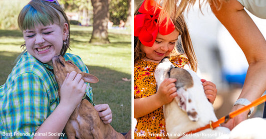 Two children joyfully interact with dogs in a park setting, showcasing companionship and happiness.