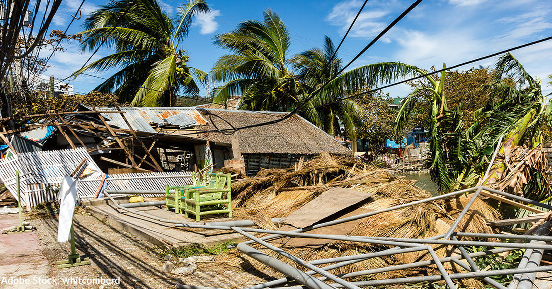 Collapsed structures and debris in a storm-damaged area with palm trees and blue sky.