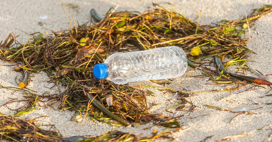 New Plastic Breakthrough Turns Pollution into Plant Food