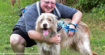 After Waiting 7 Long Years, Shelter Dog Kylo Finally Finds His Person