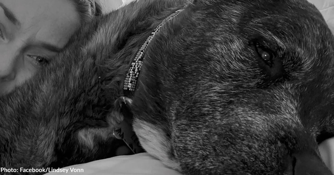 Lindsey Vonn Shares Her Beloved Dog Leo Died One Day After Her Olympic Crash