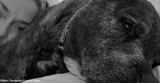 Lindsey Vonn Shares Her Beloved Dog Leo Died One Day After Her Olympic Crash