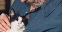 An older man with a gray beard gently cradles a black-and-white cat against his chest indoors.