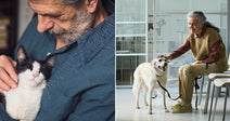 On the left, an older bearded man in a blue shirt cradles a black-and-white cat indoors; on the right, a gray-haired woman pets a white dog on a leash in.