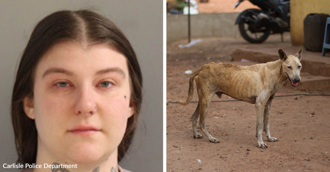 Left: Mugshot of a woman labeled Carlisle Police Department; Right: Severely underweight dog standing on dirt ground outdoors.