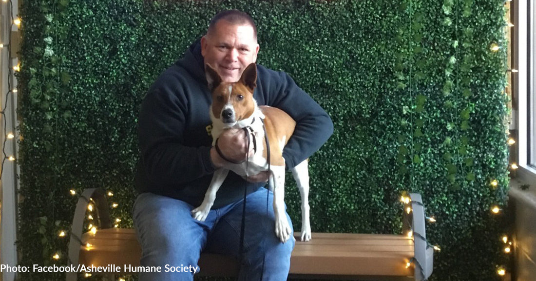 Man Cancels Flight Home After Falling In Love With Shelter Dog He Met At Tourist Attraction In North Carolina