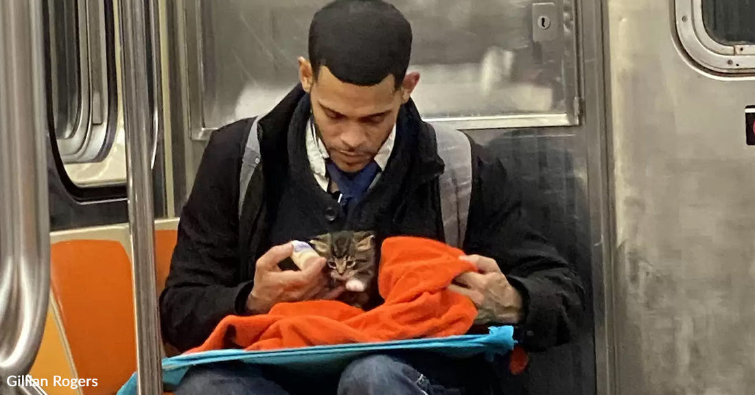 Man cuddles a kitten wrapped in an orange blanket on the subway.