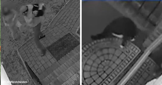 Split security footage showing a person holding a cat on a porch and a cat alone on a doorstep shortly after.
