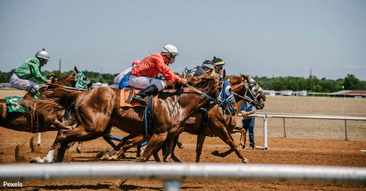 Maryland's Horse Racing Crisis Deepens as Laurel Park Faces Scrutiny