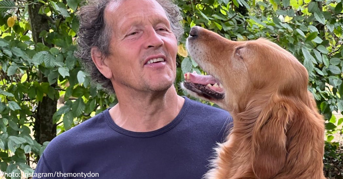 Monty Don, Presenter on BBC's Gardener's World, Mourns Loss of Beloved Golden Retriever, Nell