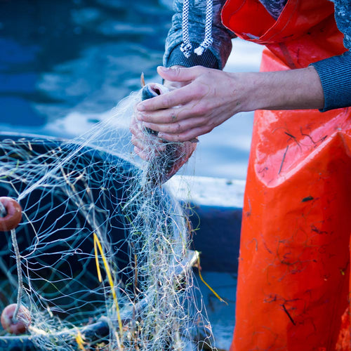 Fisher in orange waterproof gear removing a fish from tangled netting on a boat beside the water.