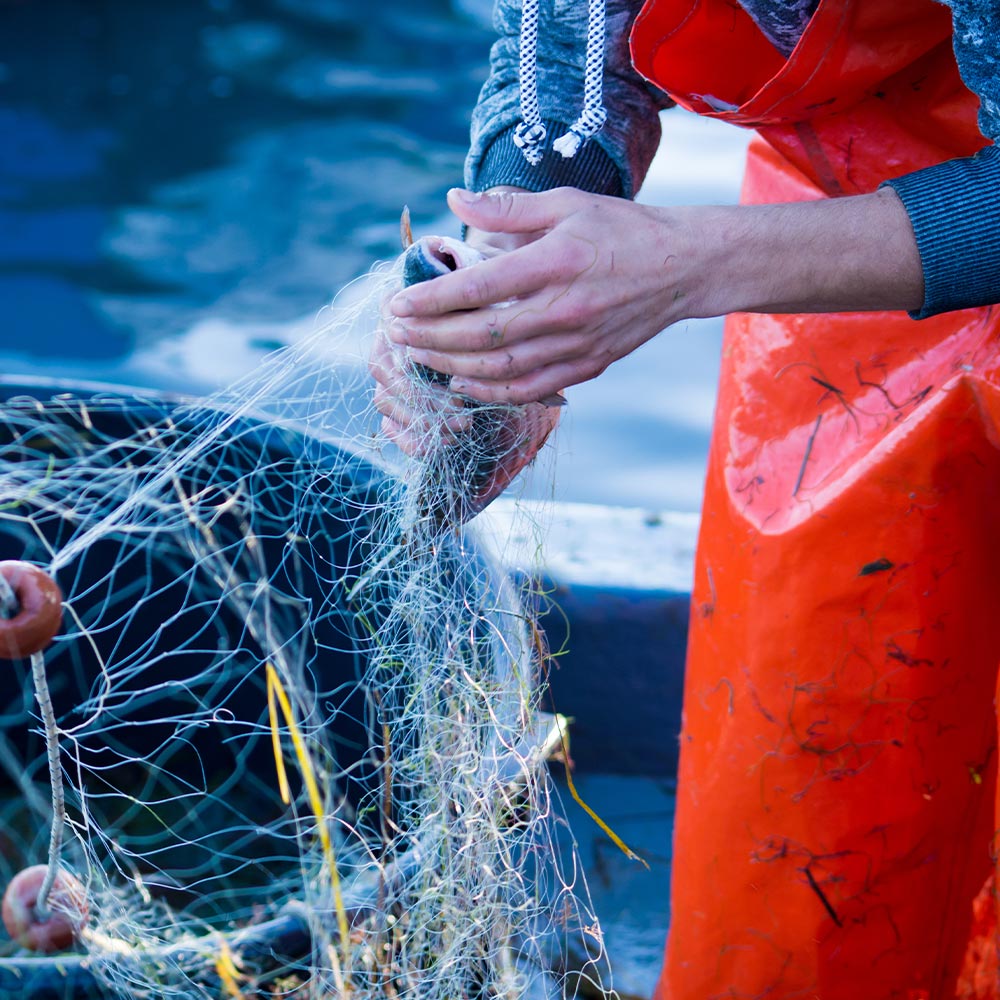 Fisher in orange waterproof gear removing a fish from tangled netting on a boat beside the water.