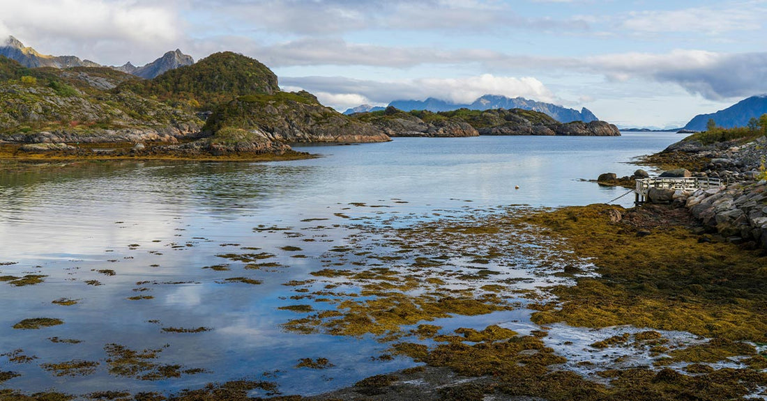 Serene coastal landscape with rocky shores and calm water under a cloudy sky.