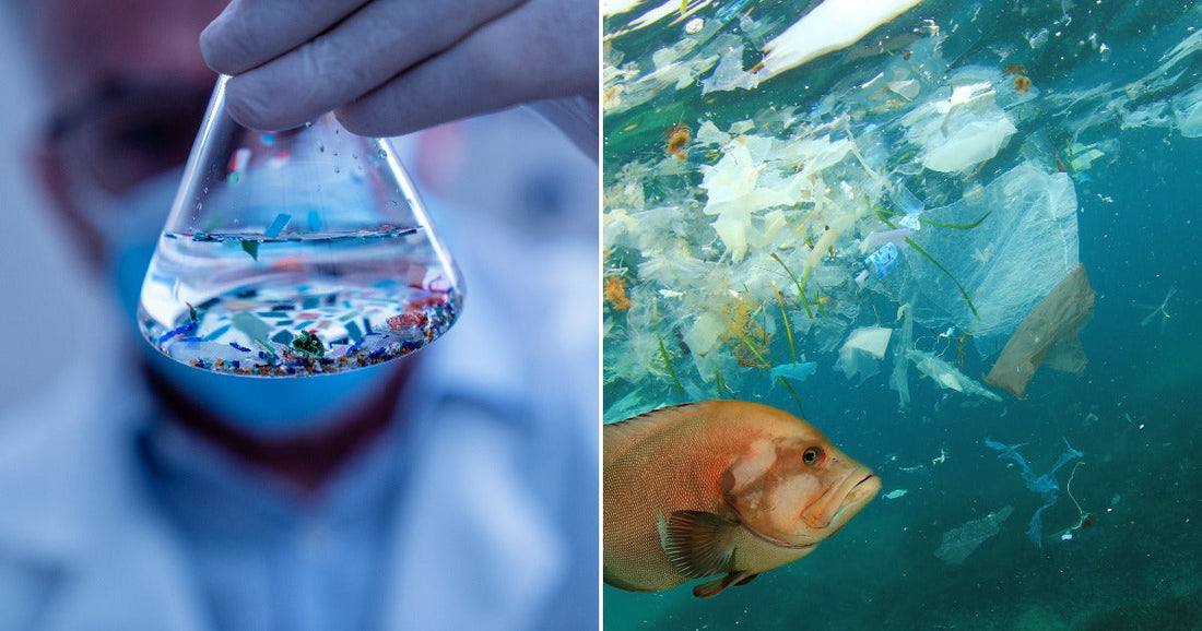On the left, a gloved scientist holds an Erlenmeyer flask containing water and colorful microplastic fragments; on the right, a fish swims beneath a ocean surface littered with floating plastic.