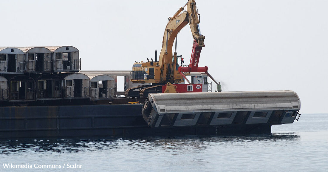 New York’s Artificial Reefs Revitalize Marine Life and Defend Coasts from Destruction