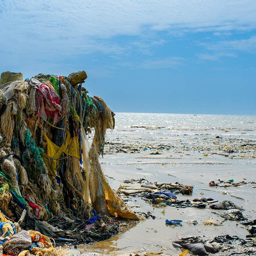 Tell The EPA To Stop Corporations From Poisoning Our Oceans
