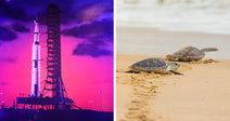 Rocket on launch pad glowing under dramatic purple and pink evening sky. Two sea turtles crawl across sandy beach toward the ocean, leaving tracks behind them.