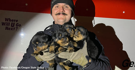 Oregon Police Rescue 15 Dogs Abandoned For Days In Back of U-Haul Truck