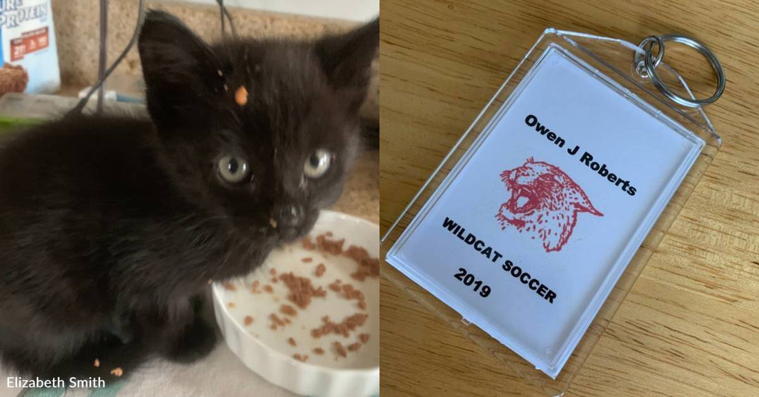 Kitten Found on the Way to Soccer Game Becomes Team's Unofficial Mascot