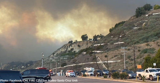 "Take Your Pets With You" Urge Animal Shelters as Wildfires Cause Thousands to Evacuate in California