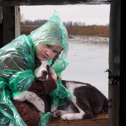 Don't Make Families Choose Between Safety and Their Pets