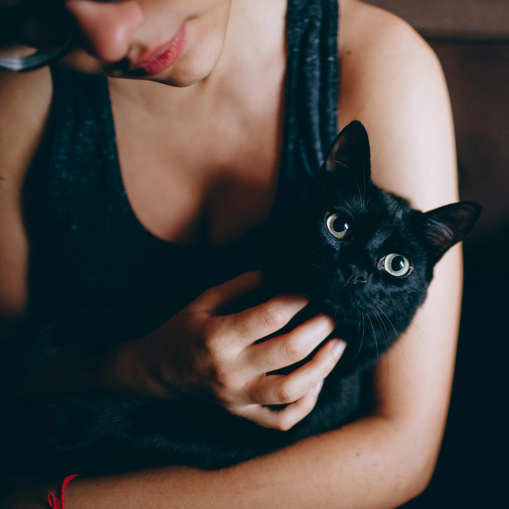 Hold Funeral Fraudsters Accountable for Shattering Pet Families