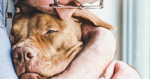 Man wearing glasses gently hugs a brown dog close to his chest, resting his forehead against the dog’s head.