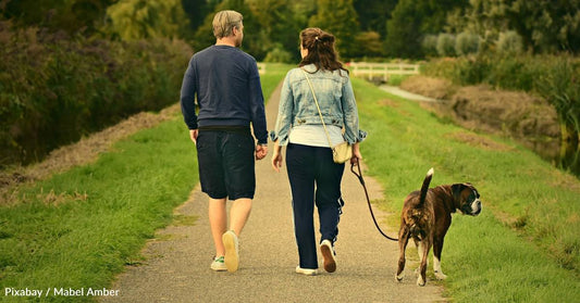 You've Heard of a Pre-Nup, How About a Pet-Nup?