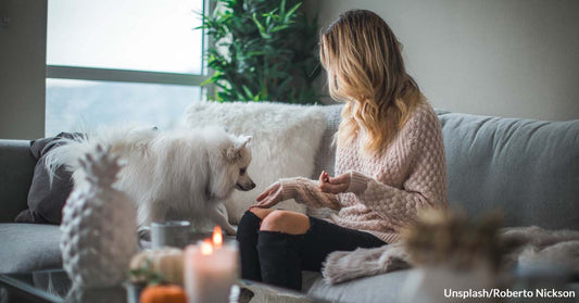 Redditors Discuss How They Chose Their Particular Pets