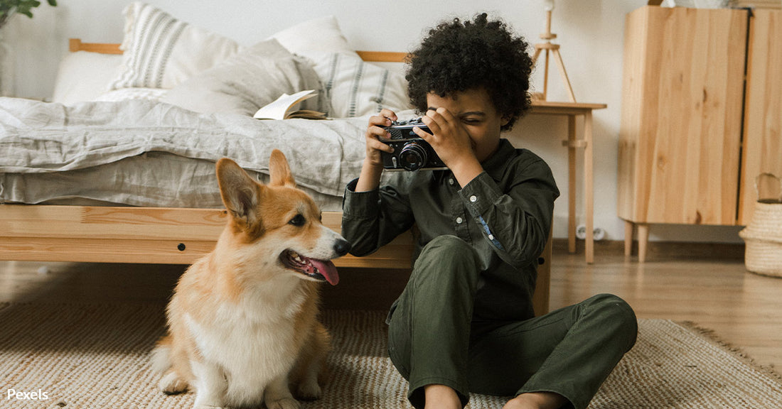 Capture Perfect Pet Portraits with Expert Photography Tips