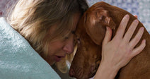Keep Pets And Families Together In Public Housing
