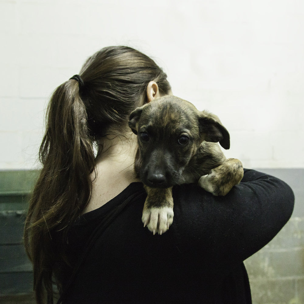 Person holding a small puppy over their shoulder inside a kennel or shelter environment.
