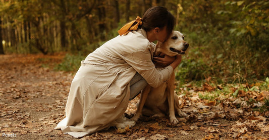 Celebrating the Bond and Coping with Loss on Rainbow Bridge Remembrance Day