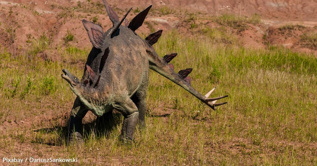 Here's How We Know What Dinosaurs Probably Looked Like