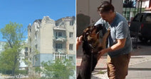 destroyed building and German shepherd dog jumping up on man in blue shirt