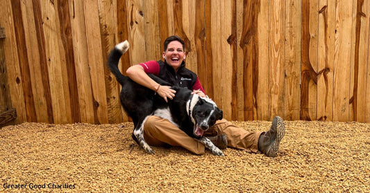 Rescue Rebuild Project Enables Domestic Violence Survivors to Bring Their Pets Along to Safety