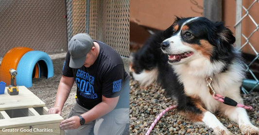 Region Has First Pet-Friendly Domestic Violence Shelter, Thanks to You