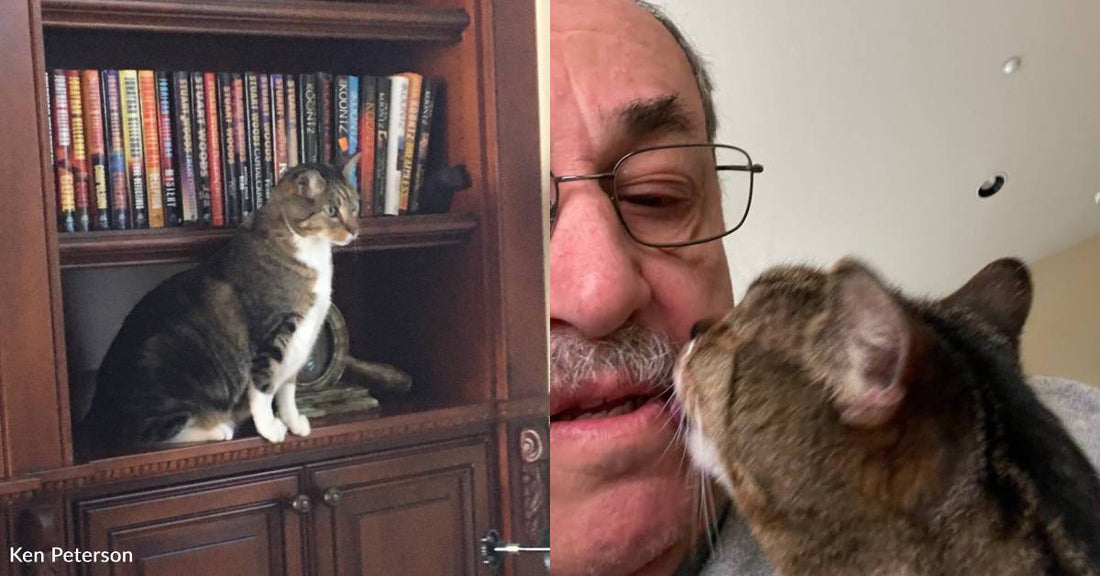 Hissing Shelter Cat Becomes Kissing Shelter Cat When He Falls in Love with a Volunteer