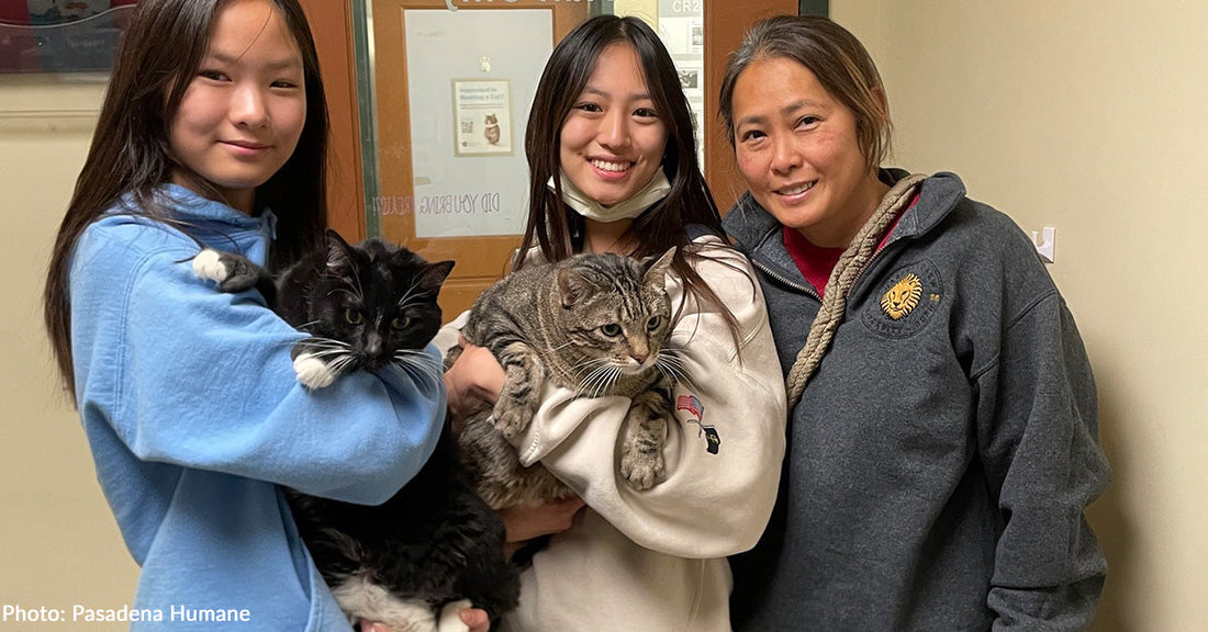 Pasadena Humane Reunites Over 1,000 Pets with Families After Devastating Wildfires