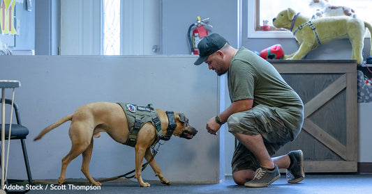 From PTSD to a Better Life: The Benefits of Service Dogs for Veterans