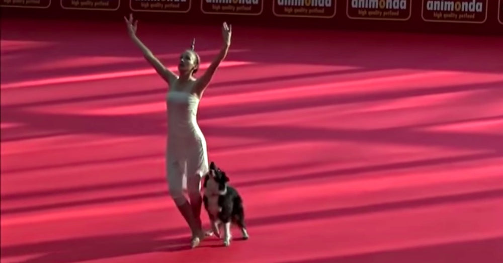 Woman And Dog Perform Touching Dance Together