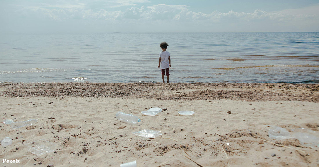 Florida’s Beaches Are Drowning in Single-Use Plastic and It’s Killing Marine Life