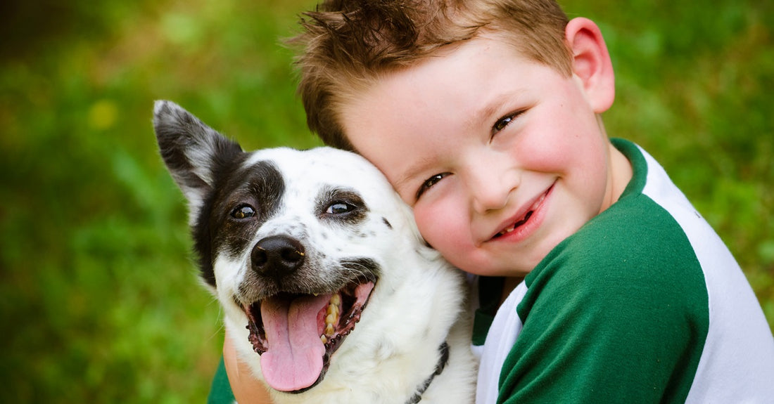 Simple Ways You Can Train Your Dog to Help Your Child with Autism