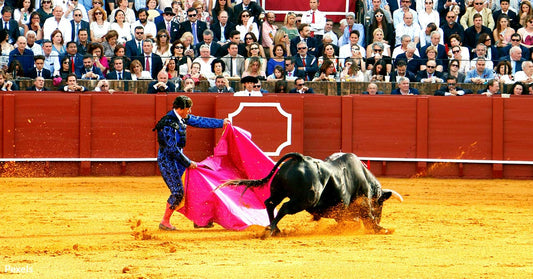 Critics Slam Spain's Move to Expose Young Children to Bullfighting Violence