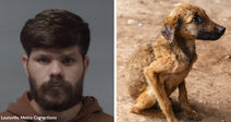 Left: Mugshot of a man with beard against a plain background labeled Louisville Metro Corrections; Right: Thin brown puppy sitting on dirt, looking off to the side.