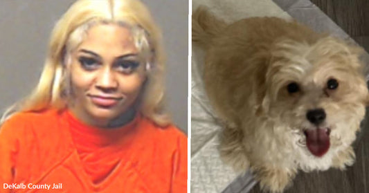Split image showing a woman’s jail mugshot on the left and a small fluffy tan-and-white dog standing on a floor on the right.