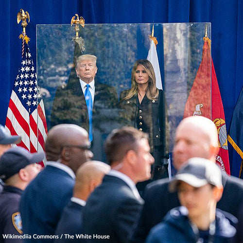 Stand Up For Veterans — Don't Let Trump Erase Veteran’s Day