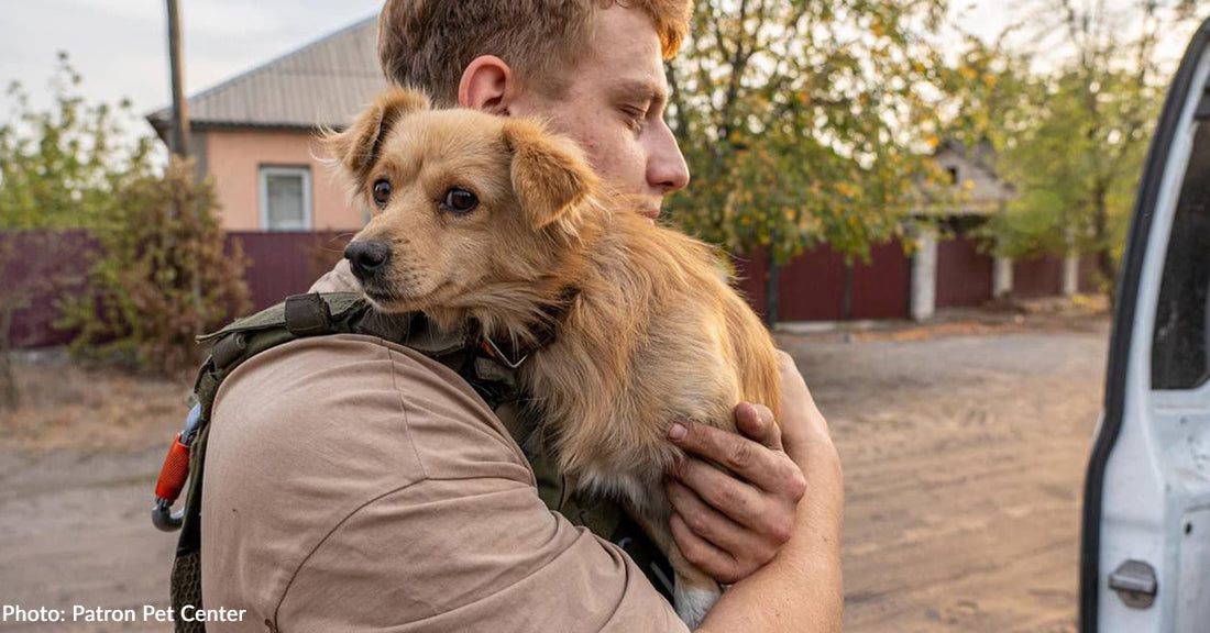 Terrified Dog Found Alive in Destroyed Ukraine Village Finds New Loving Home