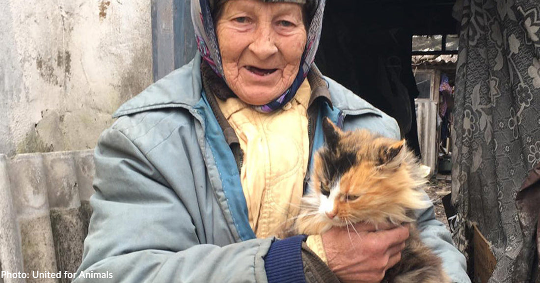 78-Year-Old Ukrainian Woman Stays in War-Torn Area to Care for Homeless Animals