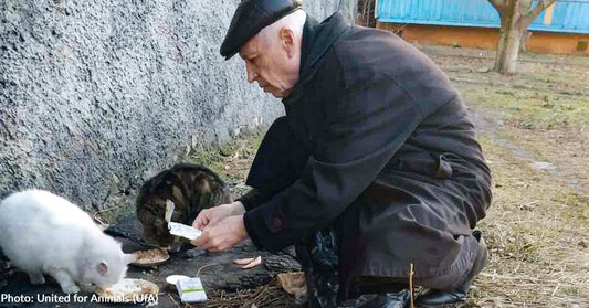 Elderly Ukraine Man Devotes His Days To Feeding Homeless Animals